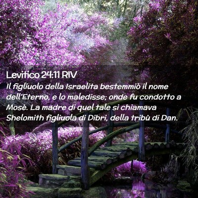 Picture 02 - Levitico 24:11 RIV - Il figliuolo della Israelita bestemmiò il nome - Bible Verse Picture