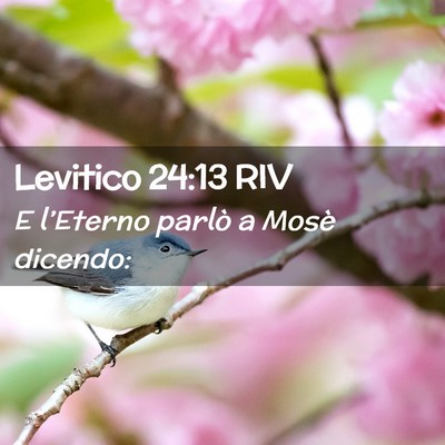 Picture 02 - Levitico 24:13 RIV - E l’Eterno parlò a Mosè - Bible Verse Picture