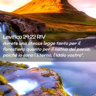 Picture 02 - Levitico 24:22 RIV - Avrete una stessa legge tanto per il forestiero - Bible Verse Picture