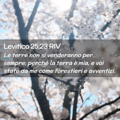 Picture 02 - Levitico 25:23 RIV - Le terre non si venderanno per sempre; perché la - Bible Verse Picture