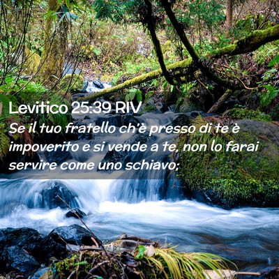Picture 02 - Levitico 25:39 RIV - Se il tuo fratello ch’è presso di te è - Bible Verse Picture