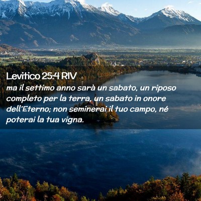 Picture 02 - Levitico 25:4 RIV - ma il settimo anno sarà un sabato, un riposo - Bible Verse Picture