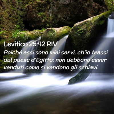 Picture 02 - Levitico 25:42 RIV - Poiché essi sono miei servi, ch’io trassi dal - Bible Verse Picture
