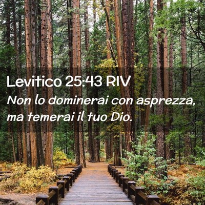 Picture 02 - Levitico 25:43 RIV - Non lo dominerai con asprezza, ma temerai il tuo - Bible Verse Picture