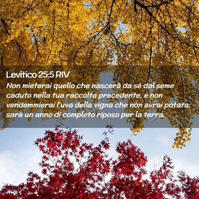 Picture 02 - Levitico 25:5 RIV - Non mieterai quello che nascerà da sé dal seme - Bible Verse Picture