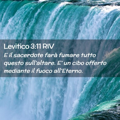 Picture 02 - Levitico 3:11 RIV - E il sacerdote farà fumare tutto questo - Bible Verse Picture