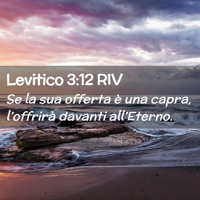 Picture 02 - Levitico 3:12 RIV - Se la sua offerta è una capra, l’offrirà - Bible Verse Picture