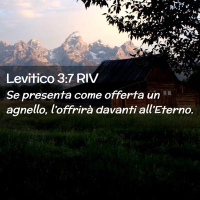 Picture 02 - Levitico 3:7 RIV - Se presenta come offerta un agnello, l’offrirà - Bible Verse Picture