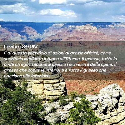 Picture 02 - Levitico 3:9 RIV - E di questo sacrifizio di azioni di grazie - Bible Verse Picture