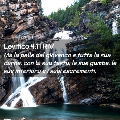 Picture 02 - Levitico 4:11 RIV - Ma la pelle del giovenco e tutta la sua carne, - Bible Verse Picture