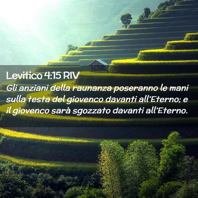 Picture 02 - Levitico 4:15 RIV - Gli anziani della raunanza poseranno le mani - Bible Verse Picture