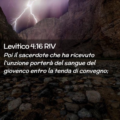 Picture 02 - Levitico 4:16 RIV - Poi il sacerdote che ha ricevuto l’unzione - Bible Verse Picture
