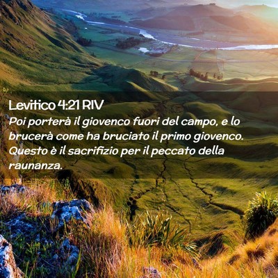 Picture 02 - Levitico 4:21 RIV - Poi porterà il giovenco fuori del campo, e lo - Bible Verse Picture