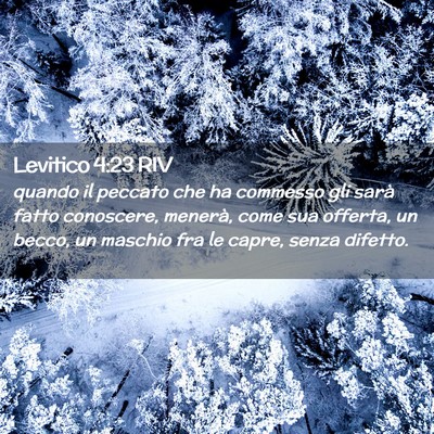 Picture 02 - Levitico 4:23 RIV - quando il peccato che ha commesso gli sarà fatto - Bible Verse Picture