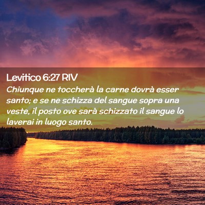 Picture 02 - Levitico 6:27 RIV - Chiunque ne toccherà la carne dovrà esser - Bible Verse Picture