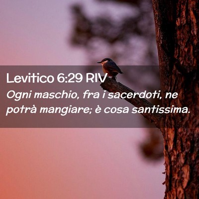 Picture 02 - Levitico 6:29 RIV - Ogni maschio, fra i sacerdoti, ne potrà - Bible Verse Picture