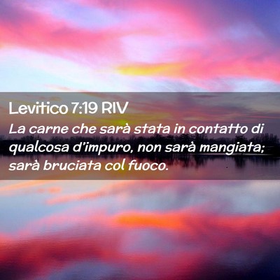 Picture 02 - Levitico 7:19 RIV - La carne che sarà stata in contatto di qualcosa - Bible Verse Picture
