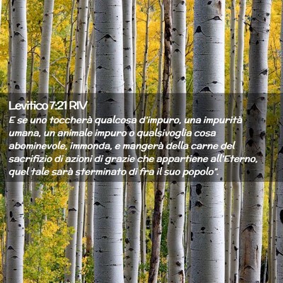 Picture 02 - Levitico 7:21 RIV - E se uno toccherà qualcosa d’impuro, una - Bible Verse Picture