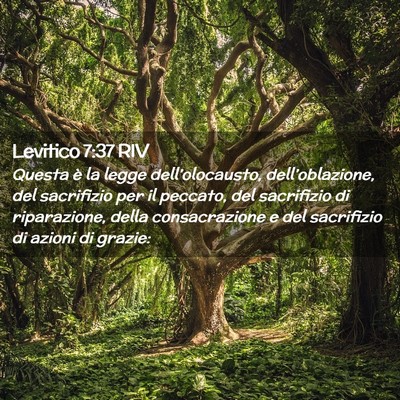 Picture 02 - Levitico 7:37 RIV - Questa è la legge dell’olocausto, - Bible Verse Picture