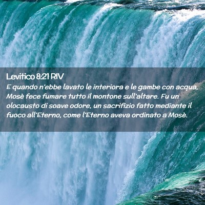 Picture 02 - Levitico 8:21 RIV - E quando n’ebbe lavato le interiora e le gambe - Bible Verse Picture
