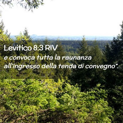 Picture 02 - Levitico 8:3 RIV - e convoca tutta la raunanza all’ingresso della - Bible Verse Picture