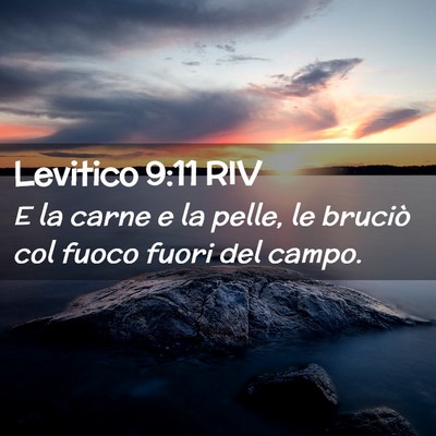 Picture 02 - Levitico 9:11 RIV - E la carne e la pelle, le bruciò col fuoco fuori - Bible Verse Picture