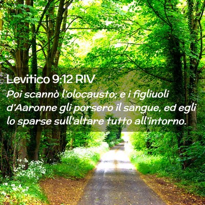Picture 02 - Levitico 9:12 RIV - Poi scannò l’olocausto; e i figliuoli - Bible Verse Picture