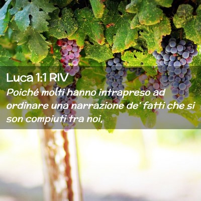 Picture 02 - Luca 1:1 RIV - Poiché molti hanno intrapreso ad ordinare una - Bible Verse Picture