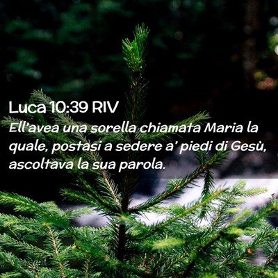 Picture 02 - Luca 10:39 RIV - Ell’avea una sorella chiamata Maria la quale, - Bible Verse Picture