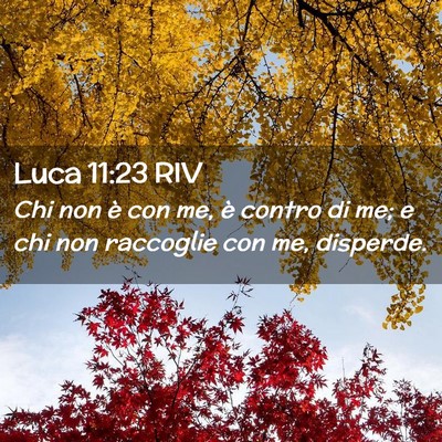 Picture 02 - Luca 11:23 RIV - Chi non è con me, è contro di me; e chi non - Bible Verse Picture
