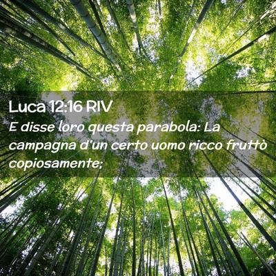 Picture 02 - Luca 12:16 RIV - E disse loro questa parabola: La campagna d’un - Bible Verse Picture