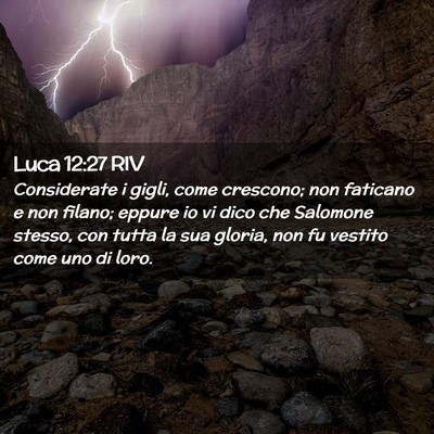 Picture 02 - Luca 12:27 RIV - Considerate i gigli, come crescono; non faticano - Bible Verse Picture