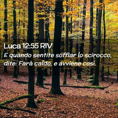 Picture 02 - Luca 12:55 RIV - E quando sentite soffiar lo scirocco, dite: Farà - Bible Verse Picture