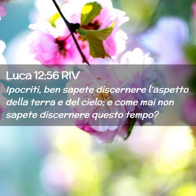 Picture 02 - Luca 12:56 RIV - Ipocriti, ben sapete discernere l’aspetto della - Bible Verse Picture