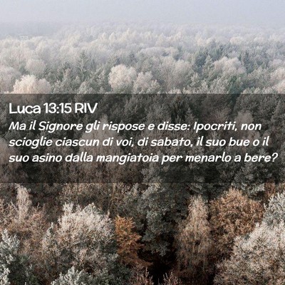 Picture 02 - Luca 13:15 RIV - Ma il Signore gli rispose e disse: Ipocriti, non - Bible Verse Picture