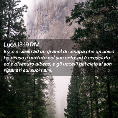 Picture 02 - Luca 13:19 RIV - Esso è simile ad un granel di senapa che un uomo - Bible Verse Picture