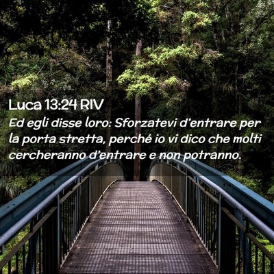 Picture 02 - Luca 13:24 RIV - Ed egli disse loro: Sforzatevi d’entrare per la - Bible Verse Picture