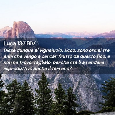 Picture 02 - Luca 13:7 RIV - Disse dunque al vignaiuolo: Ecco, sono ormai tre - Bible Verse Picture