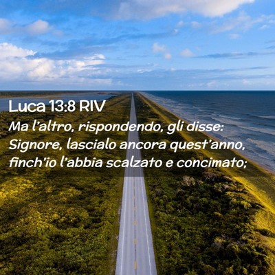 Picture 02 - Luca 13:8 RIV - Ma l’altro, rispondendo, gli disse: Signore, - Bible Verse Picture