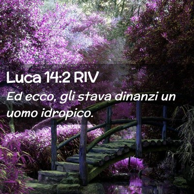 Picture 02 - Luca 14:2 RIV - Ed ecco, gli stava dinanzi un uomo - Bible Verse Picture