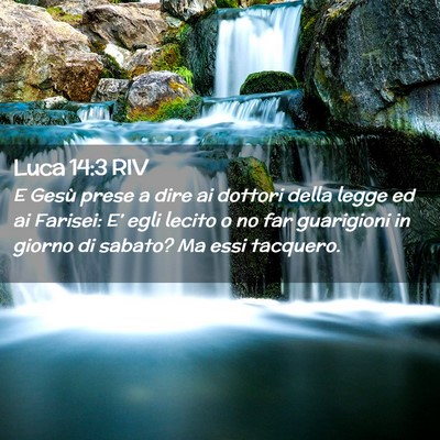 Picture 02 - Luca 14:3 RIV - E Gesù prese a dire ai dottori della legge ed ai - Bible Verse Picture