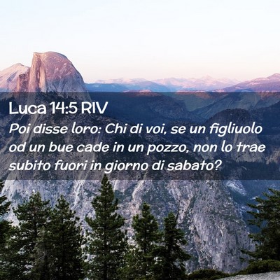 Picture 02 - Luca 14:5 RIV - Poi disse loro: Chi di voi, se un figliuolo od un - Bible Verse Picture