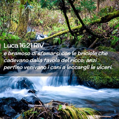 Picture 02 - Luca 16:21 RIV - e bramoso di sfamarsi con le briciole che - Bible Verse Picture