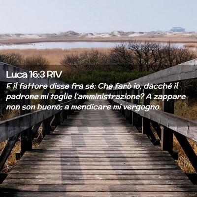 Picture 02 - Luca 16:3 RIV - E il fattore disse fra sé: Che farò io, dacché - Bible Verse Picture