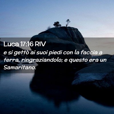 Picture 02 - Luca 17:16 RIV - e si gettò ai suoi piedi con la faccia a terra, - Bible Verse Picture
