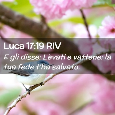 Picture 02 - Luca 17:19 RIV - E gli disse: Lèvati e vattene: la tua fede - Bible Verse Picture