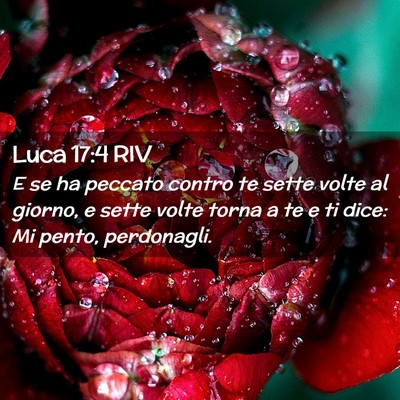 Picture 02 - Luca 17:4 RIV - E se ha peccato contro te sette volte al giorno, - Bible Verse Picture