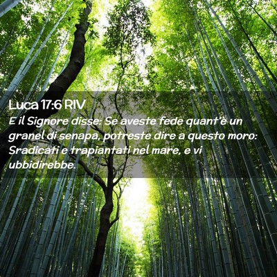 Picture 02 - Luca 17:6 RIV - E il Signore disse: Se aveste fede quant’è un - Bible Verse Picture