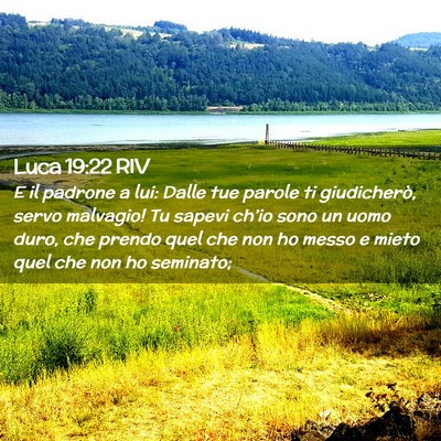 Picture 02 - Luca 19:22 RIV - E il padrone a lui: Dalle tue parole ti - Bible Verse Picture