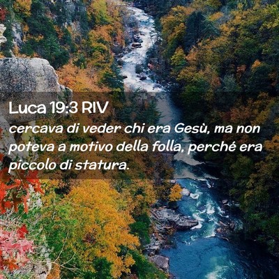 Picture 02 - Luca 19:3 RIV - cercava di veder chi era Gesù, ma non poteva a - Bible Verse Picture